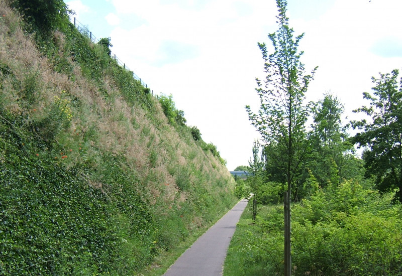 Von Grünfläche eingerahmter Weg