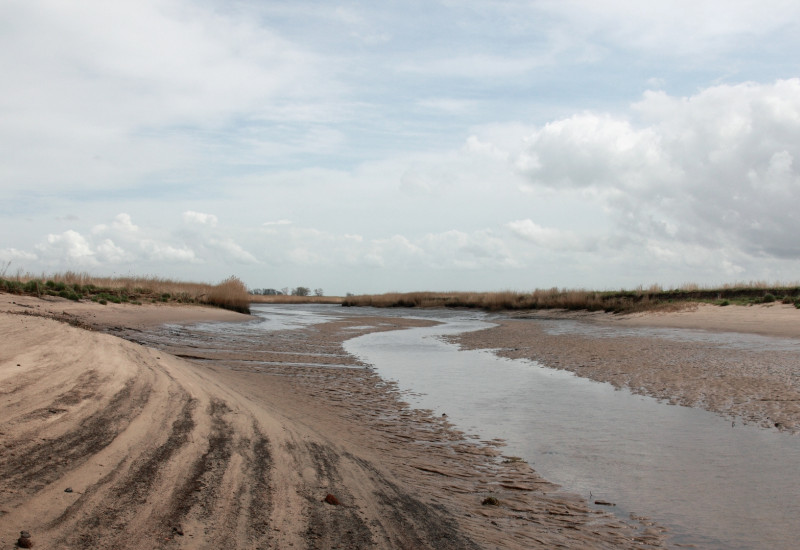 Ein Tidepolder bei Ebbe