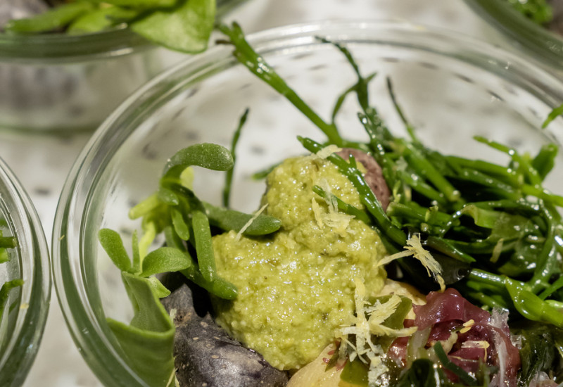 Halophyten (Queller) als Zutat zum Salat.
