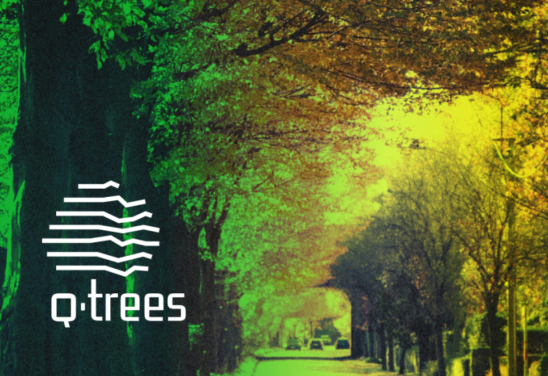 QTrees Key Visuals