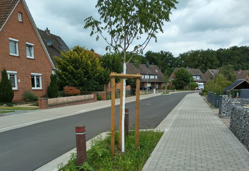 Nachbegrünung und Entsiegelung durch Anlage eines Baumbeetes