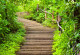 Treppe auswärts mit grünem Blättern umringt.