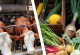 Zusammenstellung zweier Bilder. Links Rinder im Stall, rechts Gemüse
