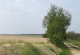 Bodenverlagerung durch Wind bei Worin in Brandenburg 