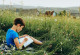 Ein Junge sitzt in einer Blumenwiese mit Blick auf eine grüne hügelige Landschaft.