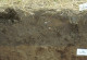 Ein Bodenprofil mit unterschiedlich gefärbten Schichten der Braunerde..