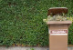 auf einem Gehweg steht vor einer grünen Hecke eine braune Mülltonne, auf der "Bioabfälle" steht und aus der Gartenabfälle herausgucken
