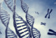 DNA stylised