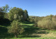 abwechslungsreiche, hügelige Landschaft mit Wiese, Bäumen und Gebüschen