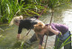 Zwei Frauen fischen im Flusswasser, um Proben des Benthos zu nehmen