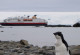 Penguins are one of the reasons to travel to Antarctica. 