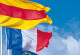 Wehende Flaggen in einer Reihe von vorn nach hinten: Badische Flagge, Frankreich, Europa und Schweiz vor einem blauen Himmel