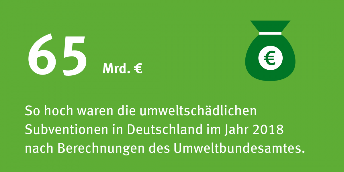 Die Infografik zeigt dass es 2018 in Deutschalnd umweltschädliche Subventionen in Höhe von 65 milliarden Euro gab.