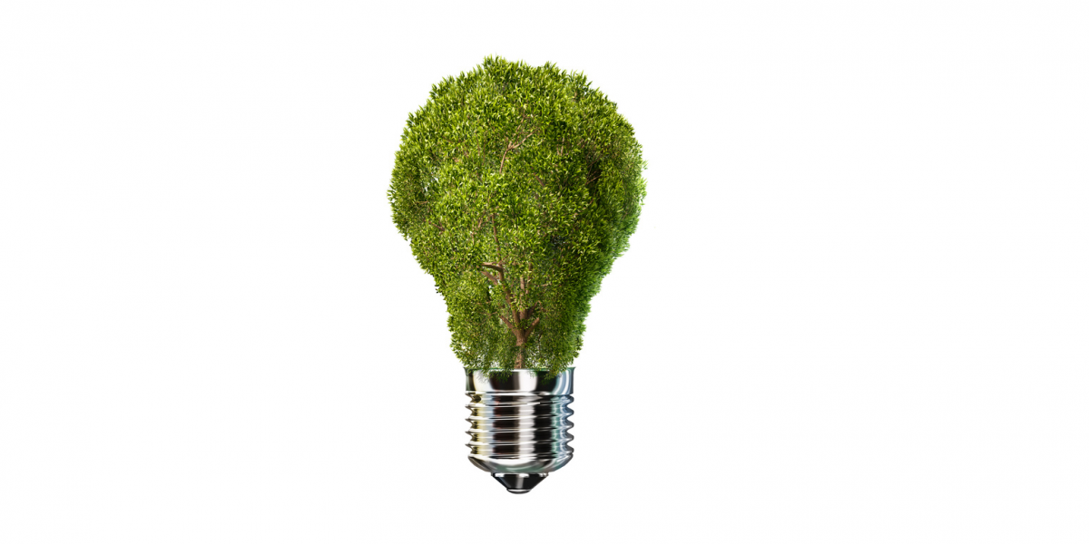 Symbolbild: Der obere Teil einer Glühbirne ist durch grüne Pflanzen ersetzt.