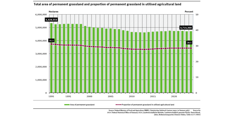 A graph shows the area of permanent grassland and its share of the total agricultural area from 1991 to 2024. Both indicators have been declining until 2013 and have then increased in the years that followed. Most recently, the values have stagnated. 