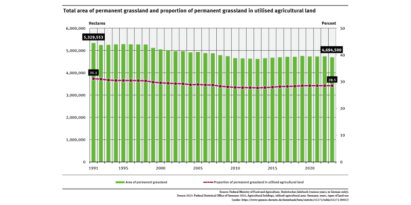 A graph shows the area of permanent grassland and its share of the total agricultural area from 1991 to 2023. Both indicators have been declining until 2013 and have then increased in the years that followed. Most recently, the values have stagnated. 
