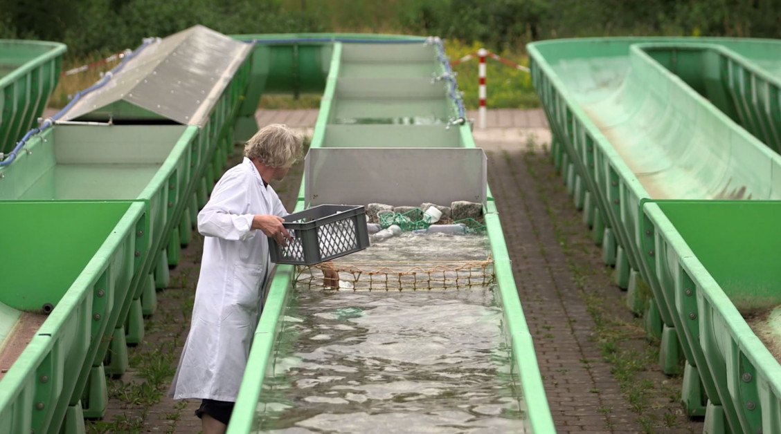 Was macht das UBA eigentlich? Umweltbundesamt