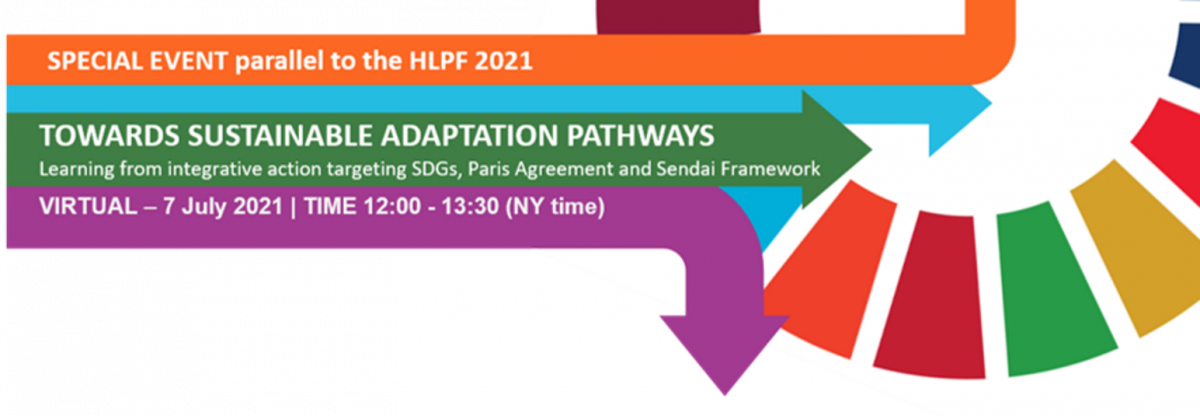 Grafik zum Event parallel zu den Sustainable Adaptation Pathways 2021