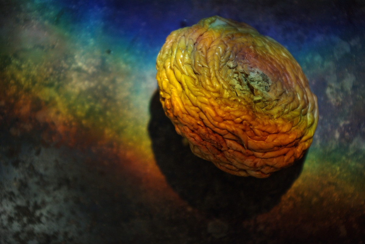 Kunstwerk Bild mit Apfel