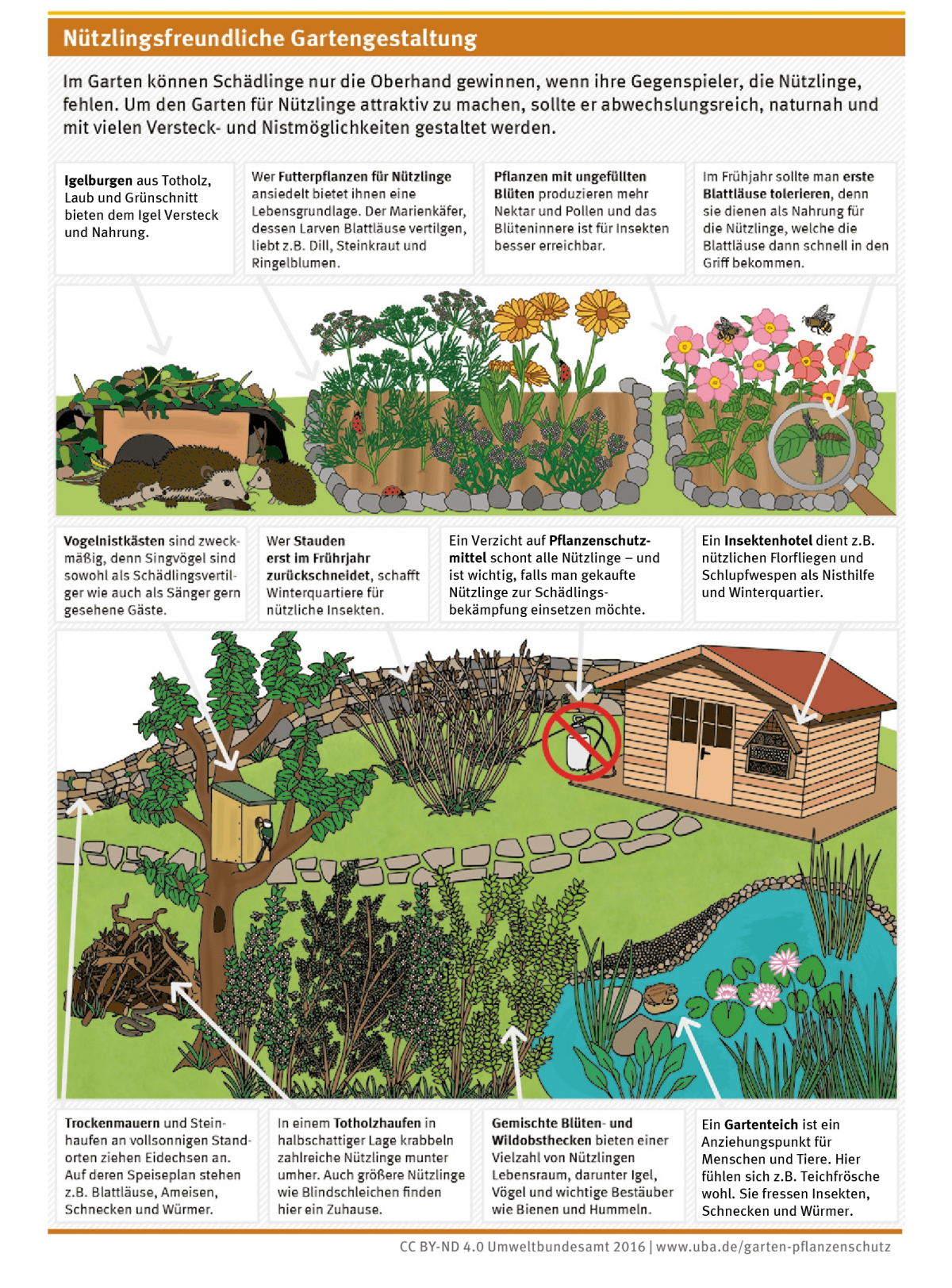 Infografik zu nützlingsfreundlicher Gartengestaltung