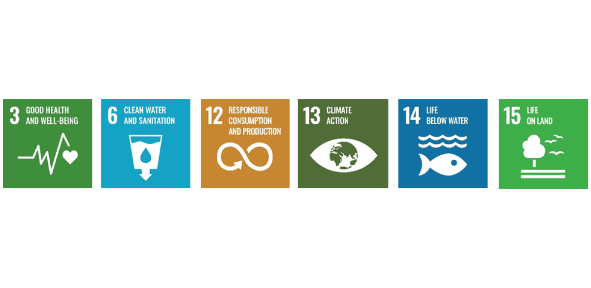6 SDGs als farbige Symbole 