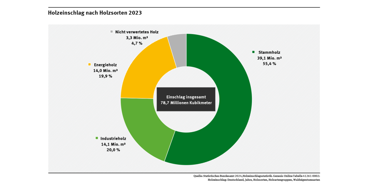 Das Diagramm zeigt den Holzeinschlag 2023 nach Holzsorten. Der Anteil des Stammholzes lag bei 55 %, der des Industrieholzes bei 20 % und der des Energieholzes bei 20 %. Etwa 5 % des Holzeinschlags waren Derbholz, das dauerhaft im Wald verbleibt. 