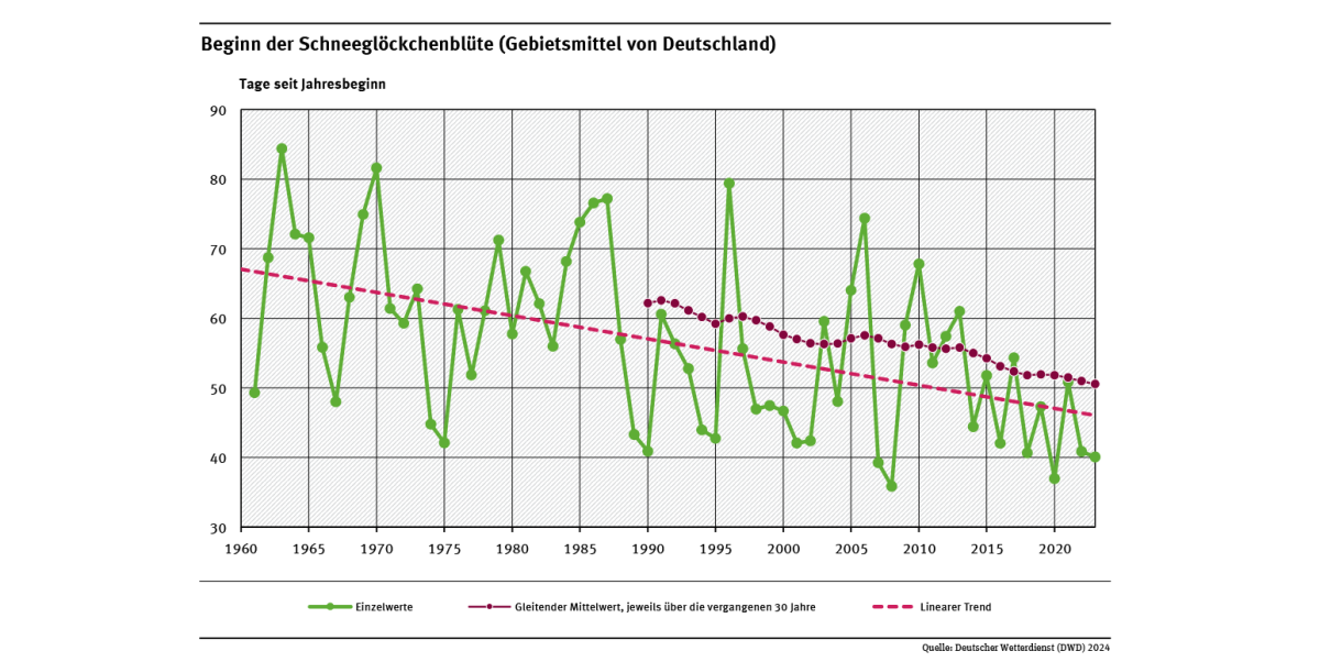 Das Liniendiagramm zeigt den Zeitpunkt des Blühbeginns des Schneeglöckchens (Tage ab Jahresbeginn, Gebietsmittel für Deutschland) seit 1961. Der lineare Trend zeigt, dass sich der Zeitpunkt tendenziell in Richtung Jahresbeginn verschiebt.
