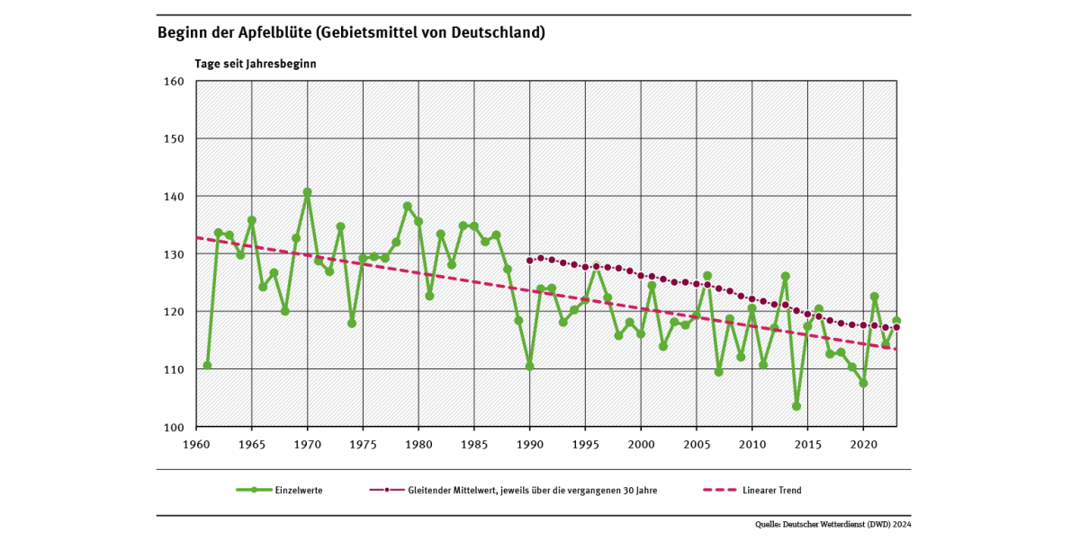 Das Liniendiagramm zeigt den Zeitpunkt des Blühbeginns bei Apfel (Tage ab Jahresbeginn, Gebietsmittel für Deutschland) seit 1961. Der lineare Trend zeigt, dass sich der Zeitpunkt tendenziell in Richtung Jahresbeginn verschiebt.