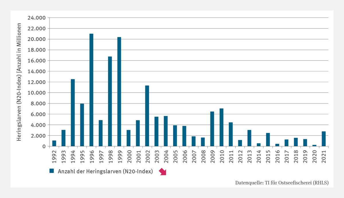 Die Abbildung FI-I-2 "Heringslarven im Greifswalder Bodden" zeigt die Anzahl der Heringslarven (N20-Index) in Millionen. Der höchste Wert von über 21 Milliarden Larven wurde 1996 erreicht. In den 1990er Jahren gab es mehrere Jahre mit zweistelligen Milliarden-Werten. Nach 2002 fielen die Werte deutlich, mit den besten Ergebnissen 2009 und 2010. 2014, 2016 und 2020 wurden weniger als 1 Milliarde Larven ermittelt, der niedrigste Wert lag 2020 bei 239 Millionen. Die Zeitreihe zeigt einen signifikant fallenden