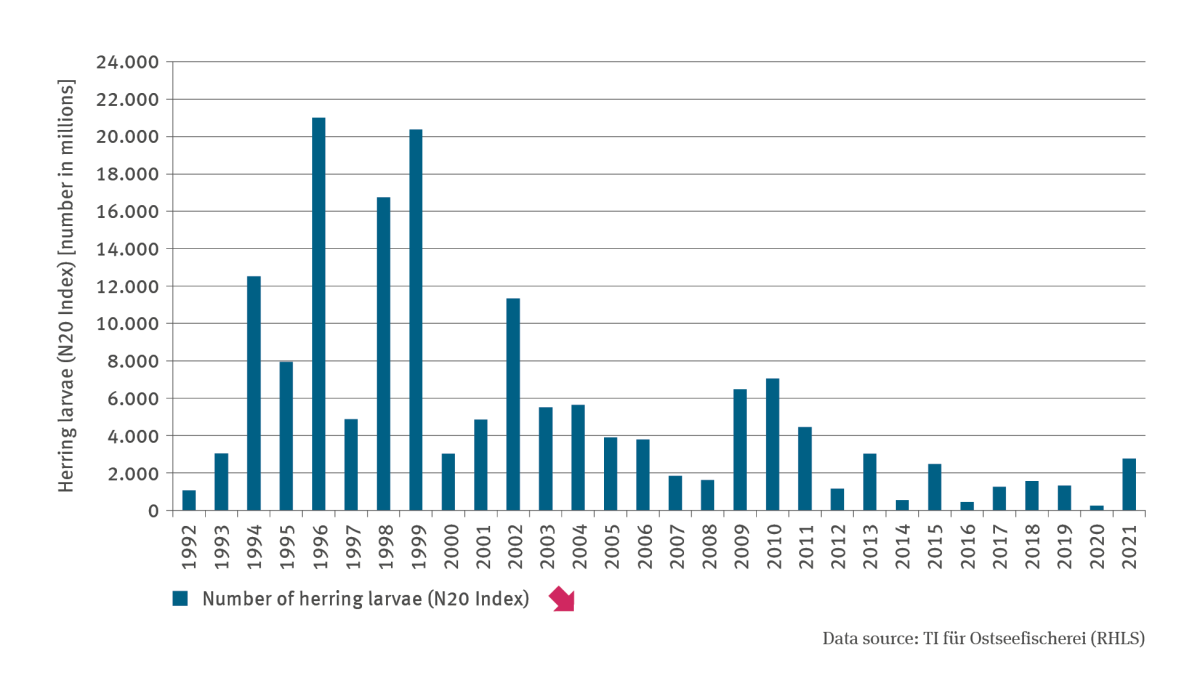 The illustration contains a column chart which shows the number of herring larvae in the Greifswalder Bodden (N20-Index) in millions. 