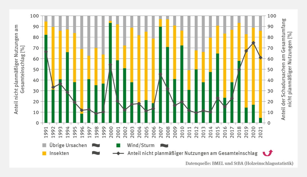 Das zweiachsige Diagramm FW-I-5 "Schadholz - Umfang nicht planmäßiger Nutzung" zeigt den Anteil nicht planmäßiger Nutzungen am Gesamteinschlag und die Schadursachen Wind/Sturm, Insekten sowie Übrige. Bis 1999 sank der Anteil nicht planmäßiger Nutzungen auf etwa 10 %, bevor 2000 und 2007 Werte von 45–55 % erreicht wurden. Ab 2016 stieg er signifikant auf 60 % (2021). Stürme prägten die Schadursachen 1991, 2000 und 2007, während zuletzt mit 80 % im Jahr 2021 Insekten dominierten.