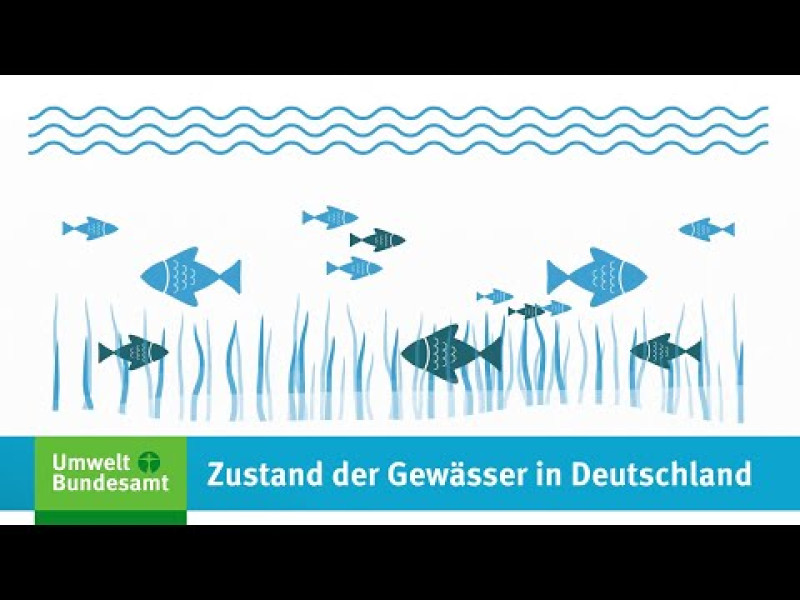 Erklärfilm: Zustand der Gewässer in Deutschland