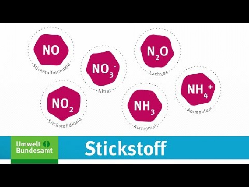 Erklärfilm: Was ist Stickstoff, und warum ist zu viel davon ein Umweltproblem?