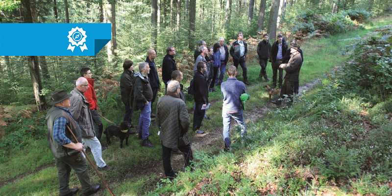 Gruppe von Personen befindet sich auf Exkursion im Wald auf einem Wirtschaftsweg an einer Böschung. Die Sonne scheint durch die jungen, schlanken hohen Bäume