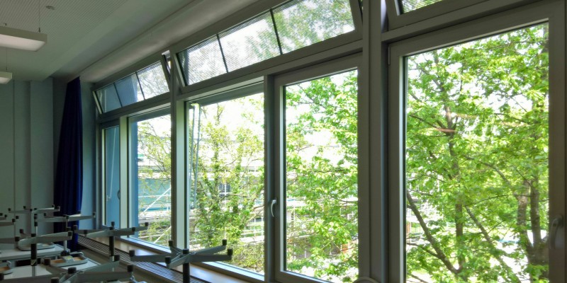 Blick aus einem Klassenzimmer durch große Fenster raus auf grün belaubte Bäume.