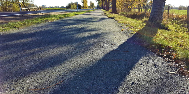 Detailaufnahme eines Weges.