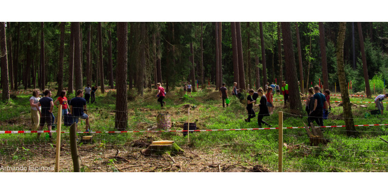 In einem abgesperrten Bereich im Wald laufen viele Personen hin und her.