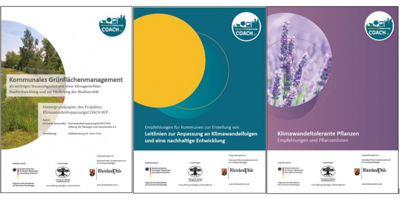 3 ausgewählte Hintergrundpapiere: Kommunales Grünflächenmanagement, Leitlinien zur Anpassung an Klimawandelfolgen und eine nachhaltige Entwicklung, Klimawandeltolerante Pflanzen