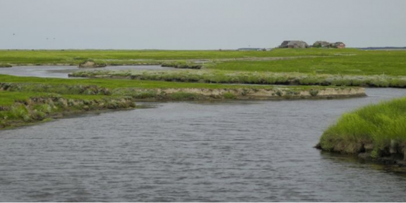 Priel und Salzwiese auf der Hallig Langeness