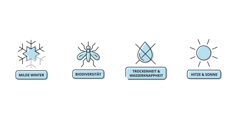 Grafische Darstellung in hellblau vor weißem Hintergrund von Folgen des Klimawandels, von denen Sportvereine betroffen sein können. 