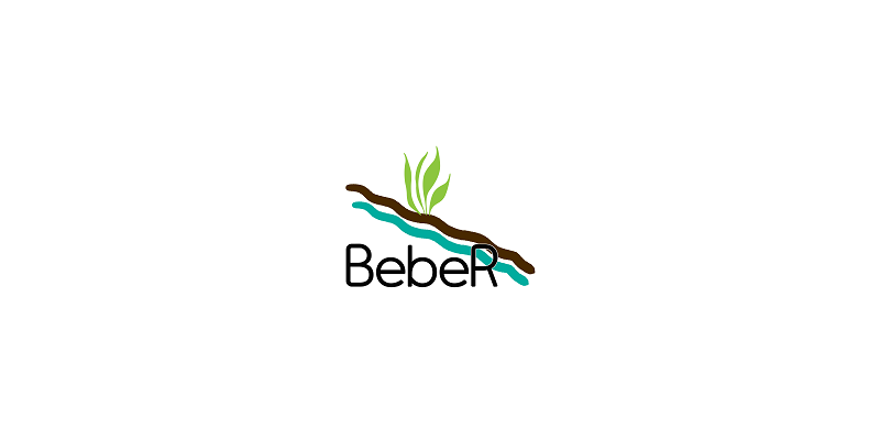 Logo des Verbundprojektes Bodenerosionsminderung in bergigen Regionen am Beispiel des Landkreises Mansfeld-Südharz (BebeR)