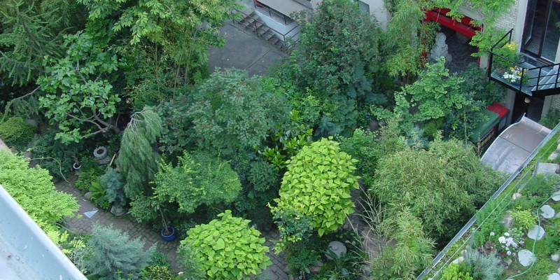Von oben fällt der Blick auf begrünte Bäume in einem Innenhof.