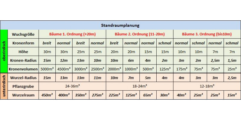 Tabelle der Standraumplanung mit Bemessungen für Bäume, u.a. Höhe, Wurzelradius, Kronenvolumen.