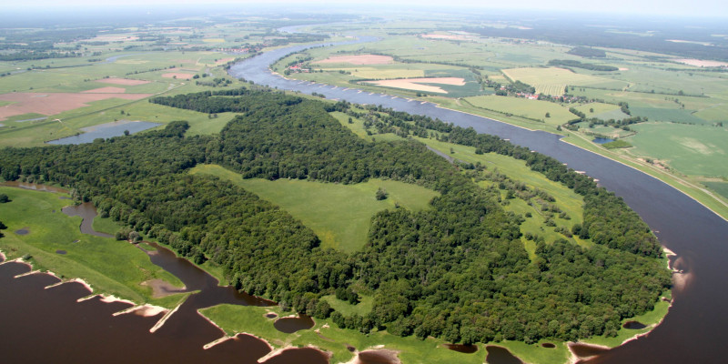 Luftbild über die Elbe, Hohe Garbe mit Waldstück