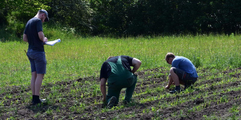 Mehrere Personen auf einem Feld. Zwei Personen sind gebückt und untersuchen den Boden, eine dritte Person schreibt auf einem Collegeblock.