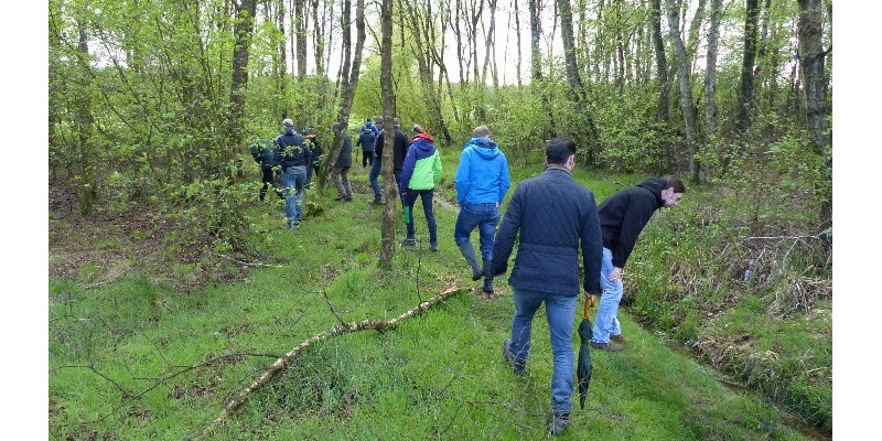 Exkursionsteilnehmende laufen durch ein mit Bäumen licht bewachsenes Wiesenland.