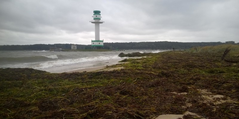 Seegras und Alten liegt angehäuft am Küstensaum. Im Hintergrund ist ein weiß-grüner Leuchtturm zu sehen und die See schlägt Wellen.
