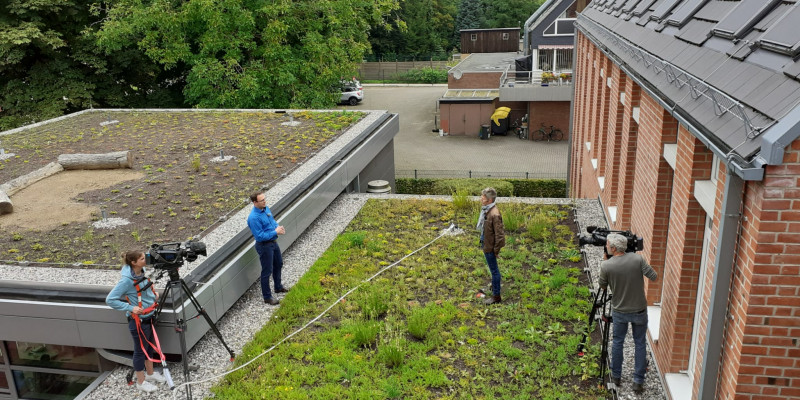 Interview des NDR auf der Dachbegrünung mit dem Klimaschutzmanager der Gemeinde Stockelsdorf