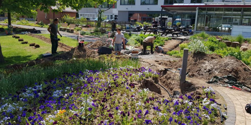 Vier Studierende vergraben Schläuche der neuen Bewässerungsanlage im Park.