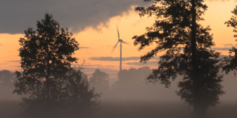 Sonnenuntergang über dem Moor mit zwei Bäumen und einem Windrad. In Bodennähes sind starke Nebelschwaden. 